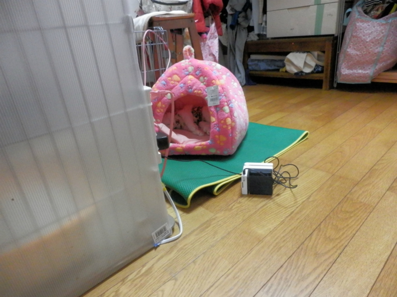 f:id:gosaku13:20150225200030j:image