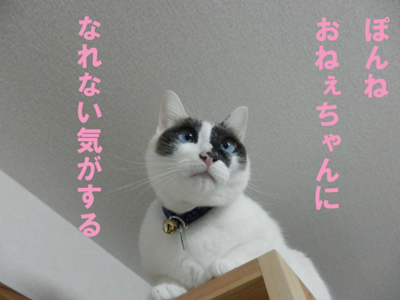 f:id:gosaku13:20150228090333j:image