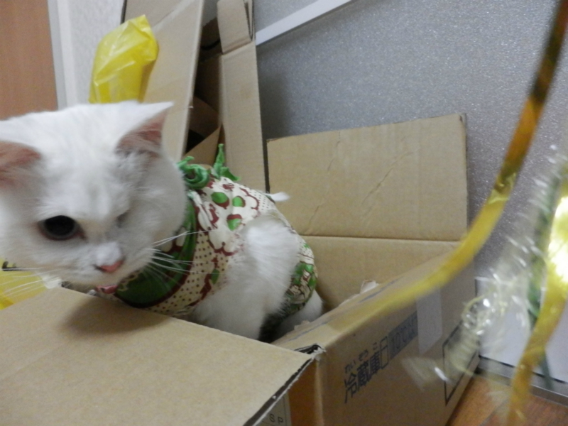 f:id:gosaku13:20150228090407j:image