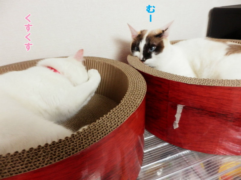 f:id:gosaku13:20150403203542j:image