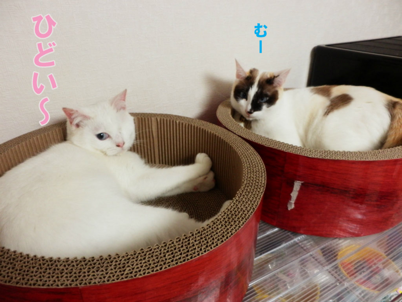 f:id:gosaku13:20150403203915j:image