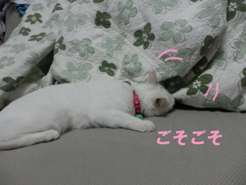 f:id:gosaku13:20150404133221j:image