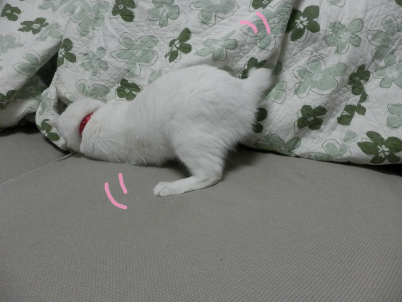 f:id:gosaku13:20150404133438j:image