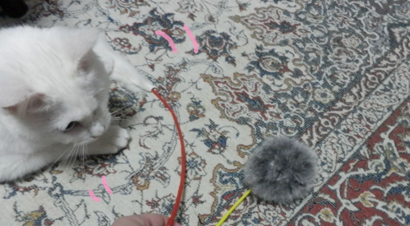 f:id:gosaku13:20150404133630j:image