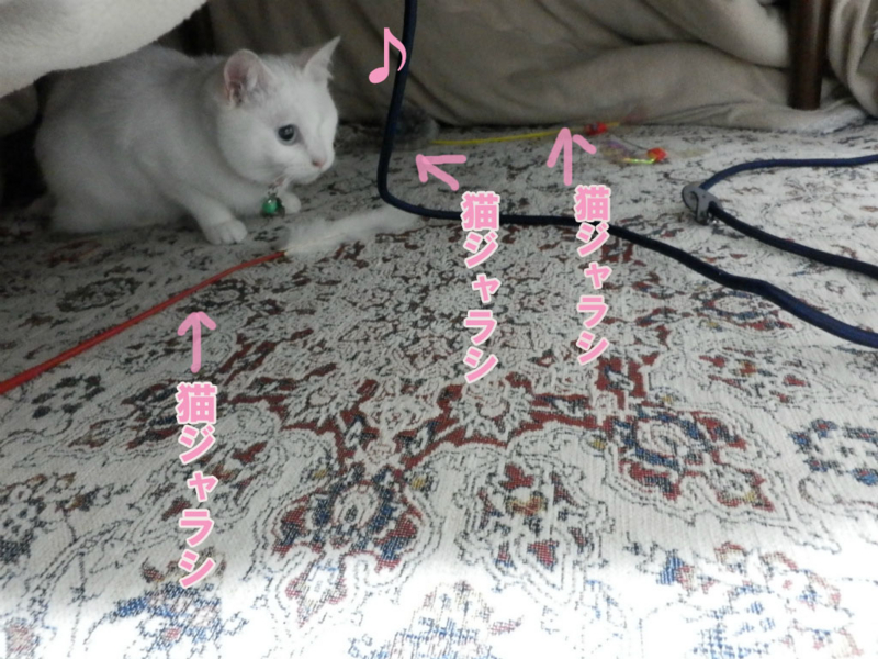 f:id:gosaku13:20150404133901j:image