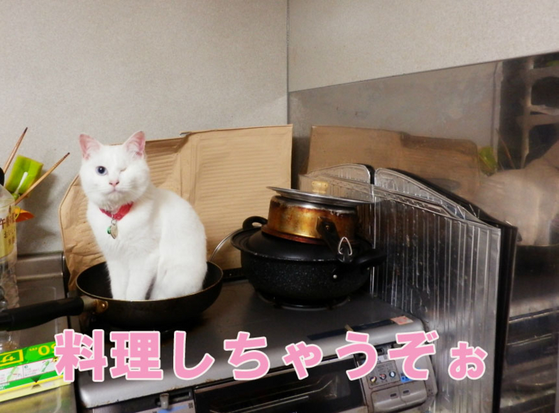 f:id:gosaku13:20150407100808j:image