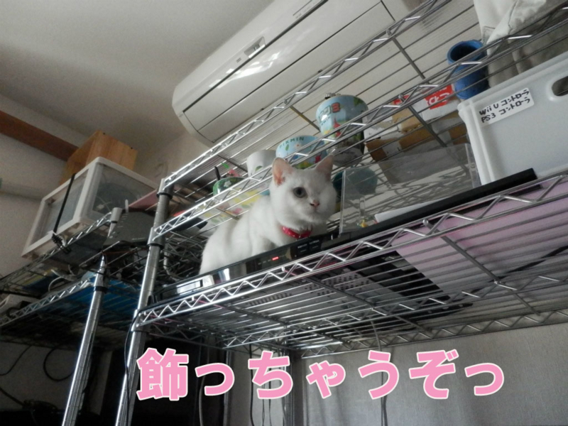 f:id:gosaku13:20150407100835j:image