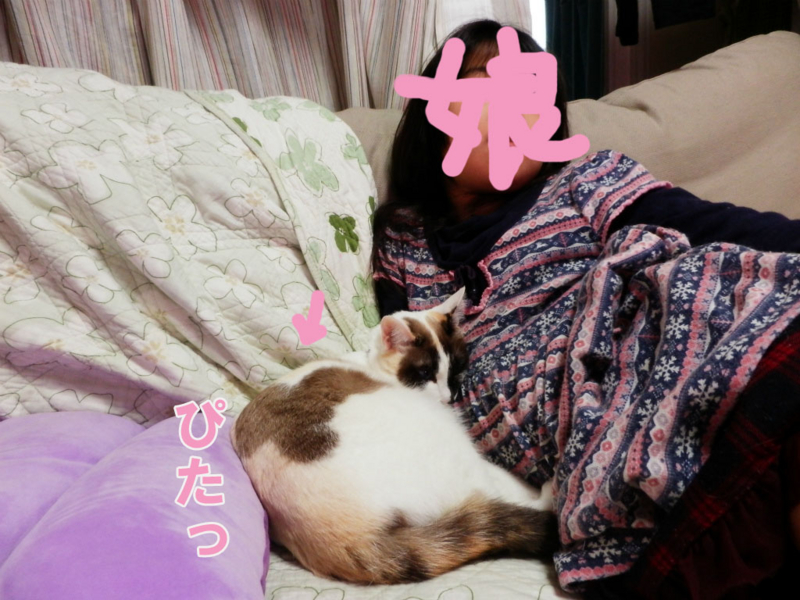 f:id:gosaku13:20150408211433j:image