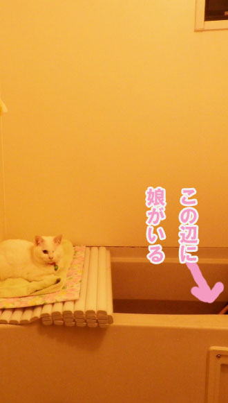 f:id:gosaku13:20150409105849j:image