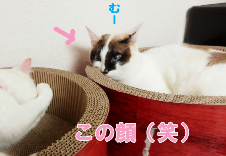 f:id:gosaku13:20150411120650j:image