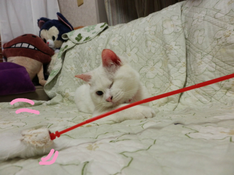 f:id:gosaku13:20150412072116j:image