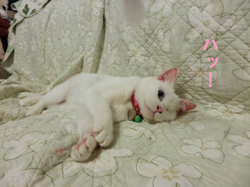 f:id:gosaku13:20150412072353j:image