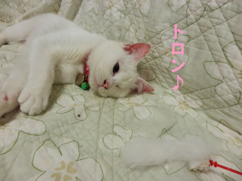 f:id:gosaku13:20150412072430j:image