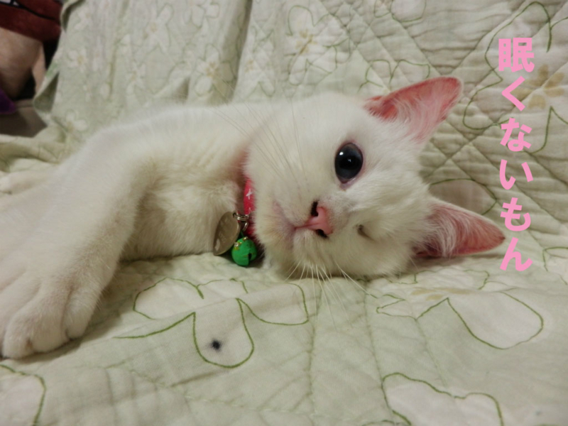 f:id:gosaku13:20150412072457j:image