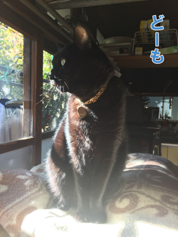 f:id:gosaku13:20150413084313j:image