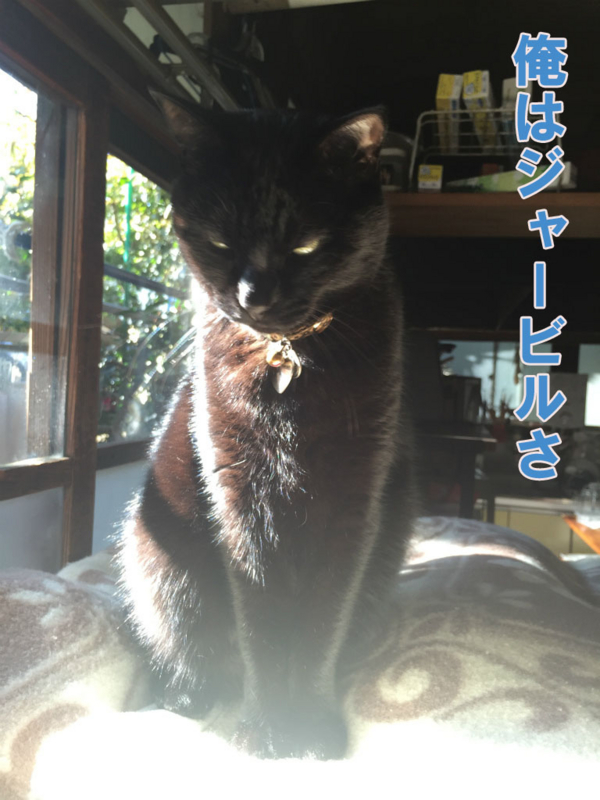 f:id:gosaku13:20150413084502j:image