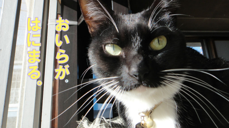 f:id:gosaku13:20150413084652j:image