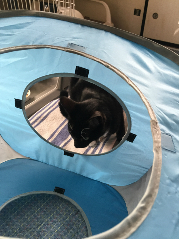 f:id:gosaku13:20150413085238j:image