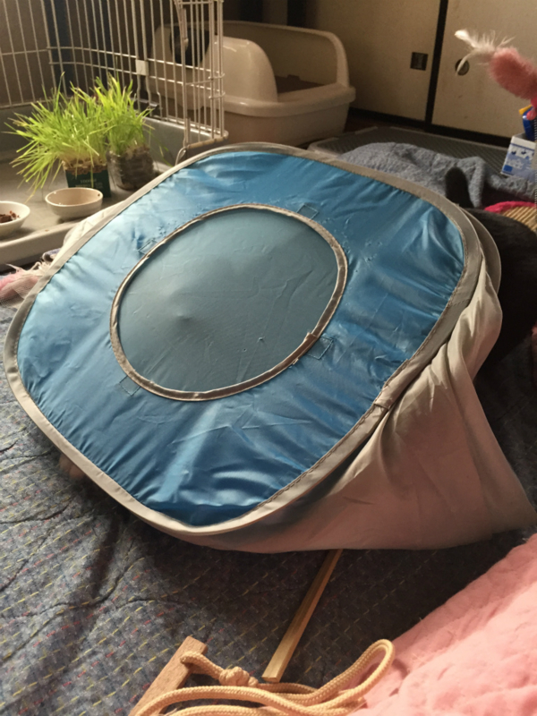 f:id:gosaku13:20150413085312j:image