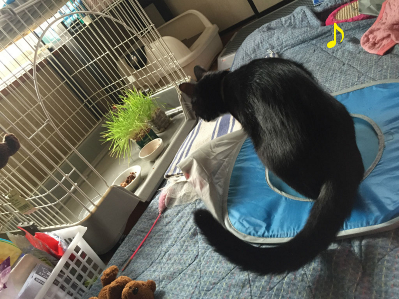 f:id:gosaku13:20150413085320j:image