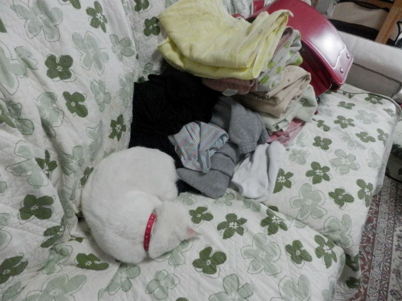 f:id:gosaku13:20150414141124j:image