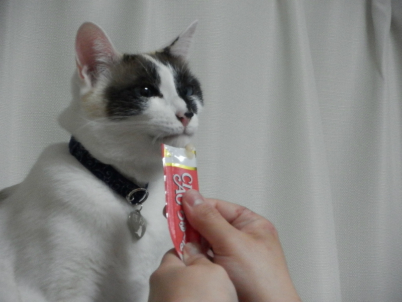 f:id:gosaku13:20150415082630j:image