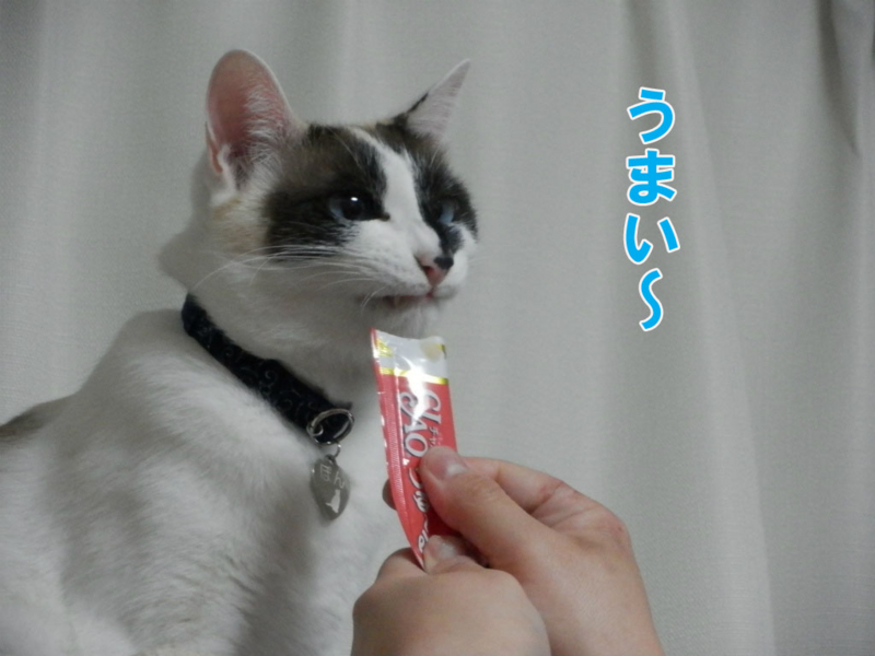 f:id:gosaku13:20150415082811j:image