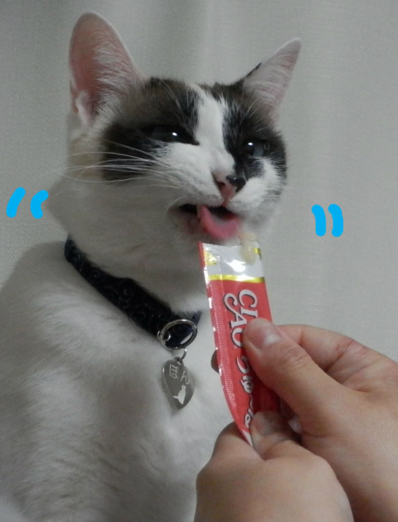 f:id:gosaku13:20150415082850j:image