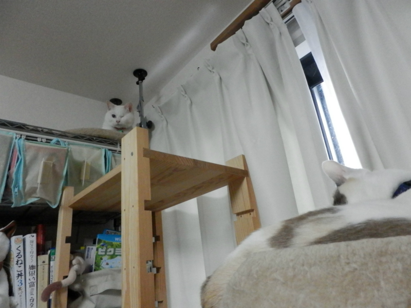 f:id:gosaku13:20150428090943j:image