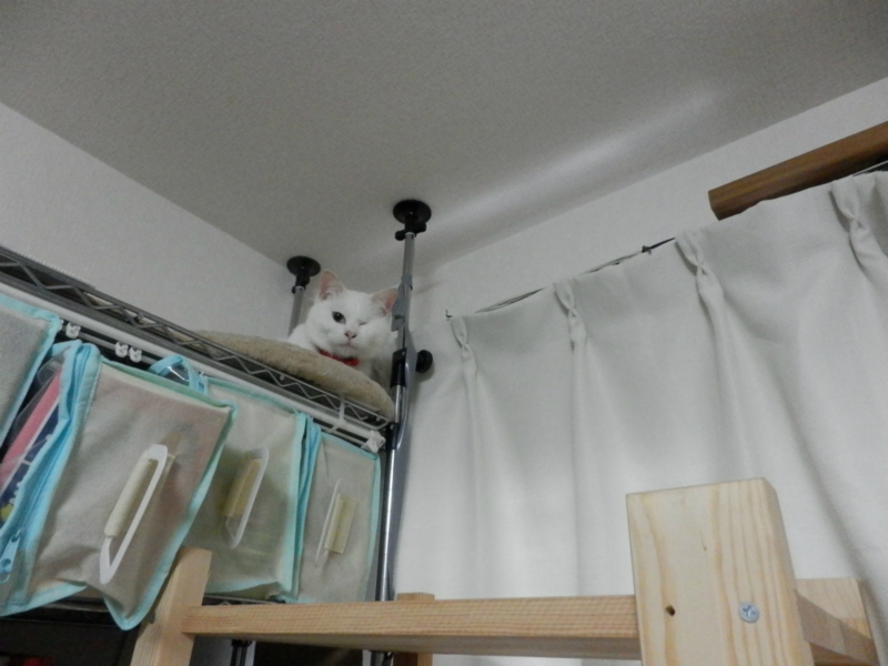 f:id:gosaku13:20150428090945j:image