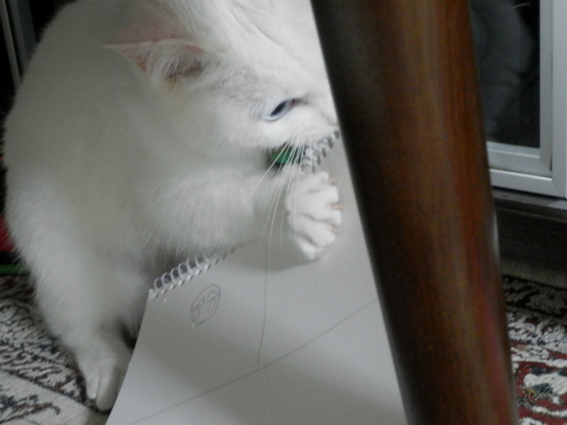 f:id:gosaku13:20150428091106j:image