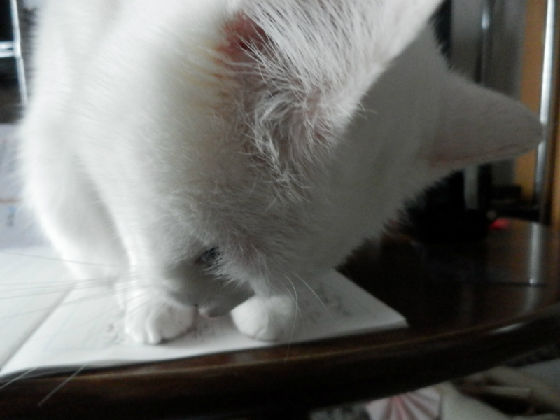 f:id:gosaku13:20150428091337j:image