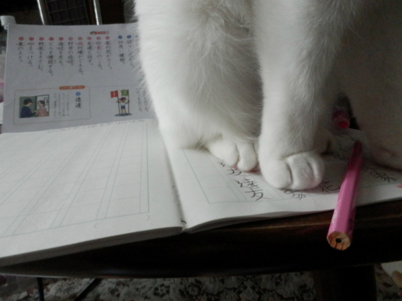 f:id:gosaku13:20150428091339j:image