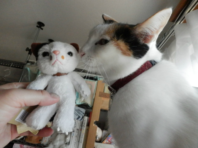 f:id:gosaku13:20150428194730j:image