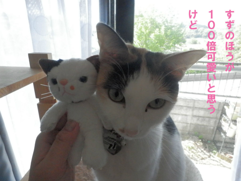 f:id:gosaku13:20150428194816j:image