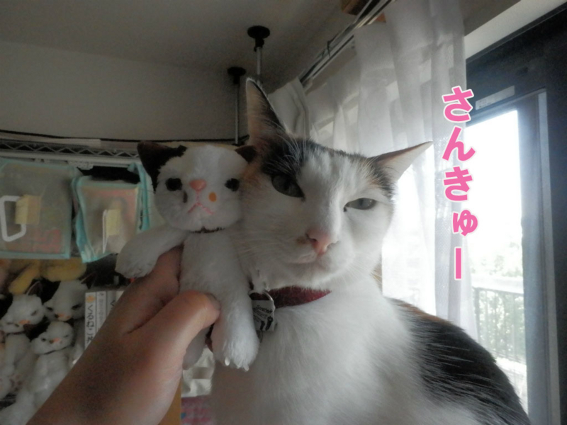 f:id:gosaku13:20150428194907j:image