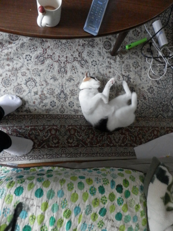 f:id:gosaku13:20150603171643j:image