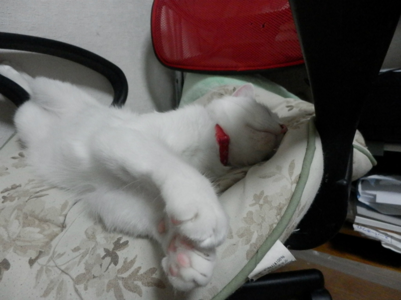 f:id:gosaku13:20150605100720j:image