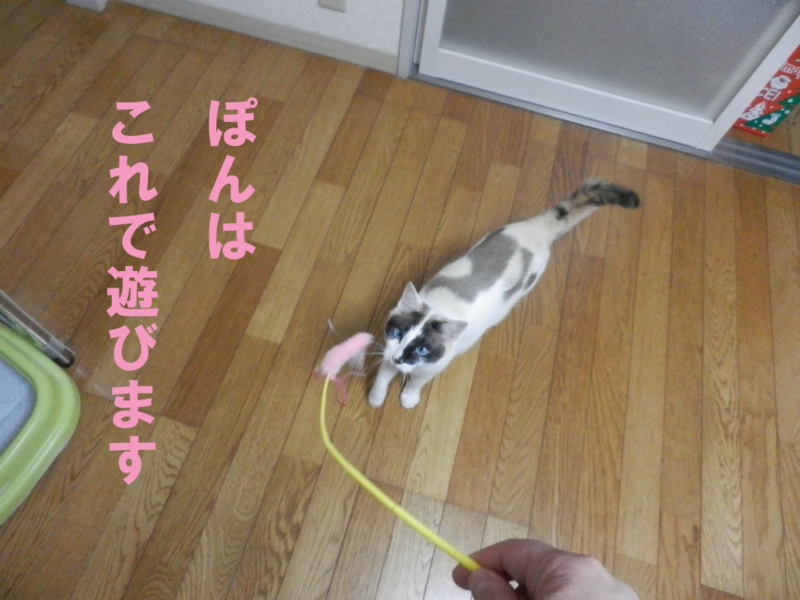 f:id:gosaku13:20150607100800j:image