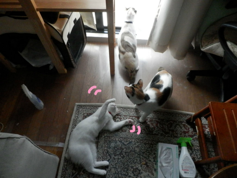 f:id:gosaku13:20150607184937j:image