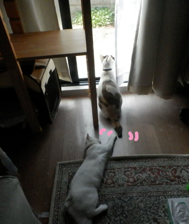 f:id:gosaku13:20150607184955j:image