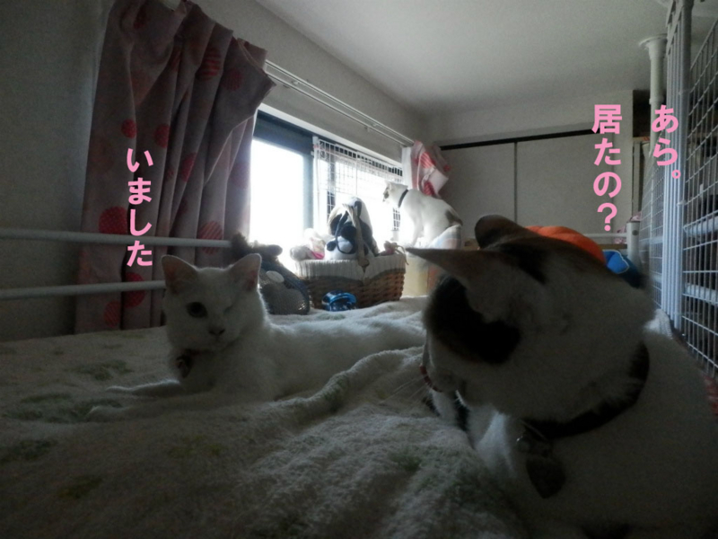 f:id:gosaku13:20150608191116j:image