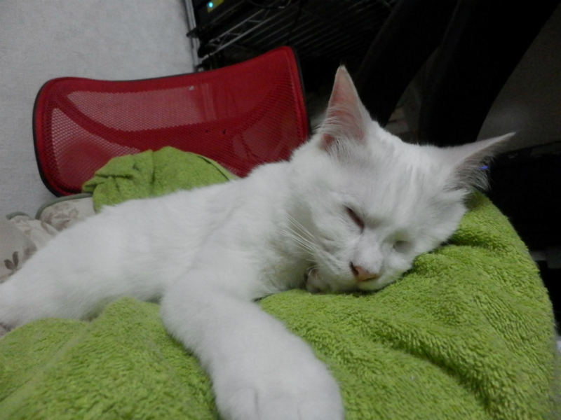 f:id:gosaku13:20150612055736j:image