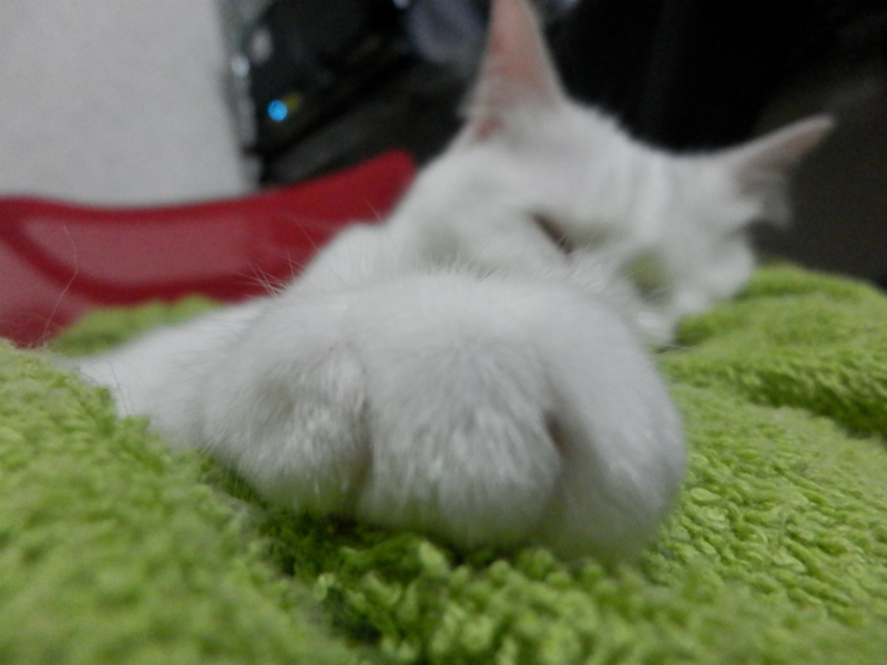 f:id:gosaku13:20150612055839j:image