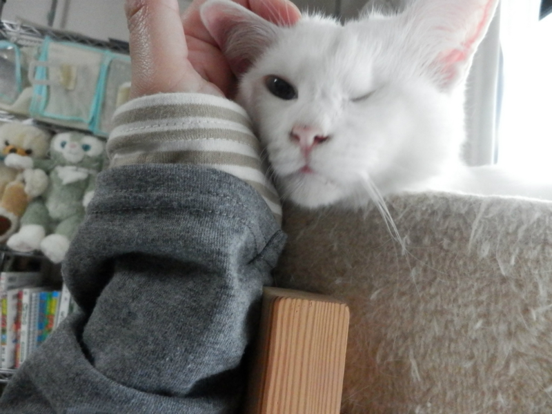 f:id:gosaku13:20150615203359j:image