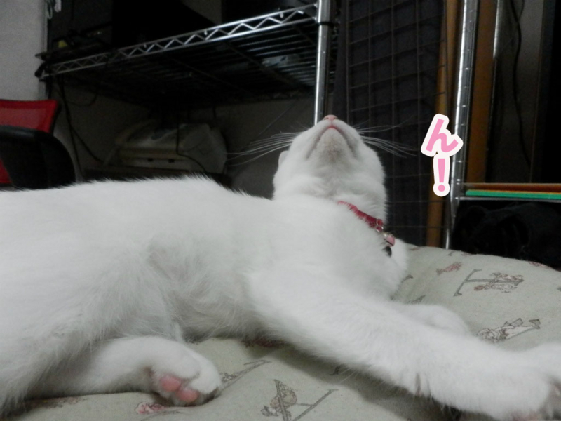 f:id:gosaku13:20150622205231j:image