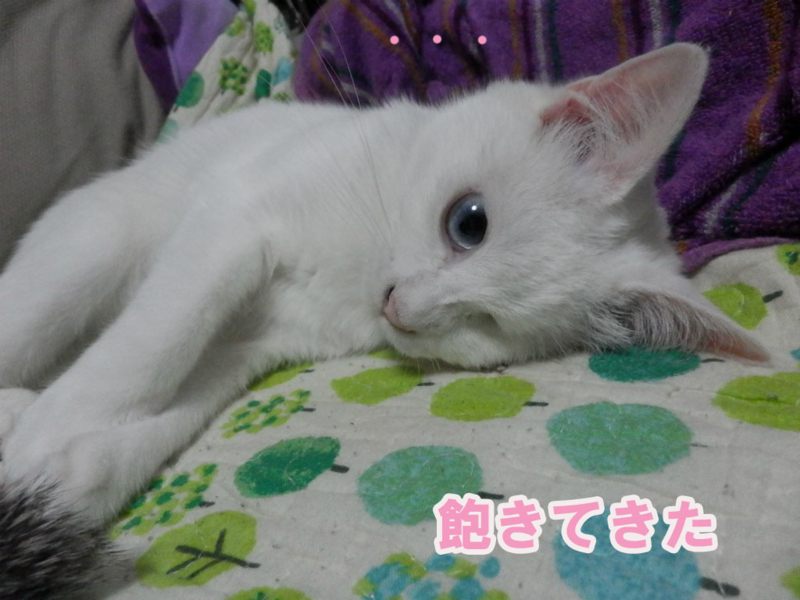 f:id:gosaku13:20150625083025j:image