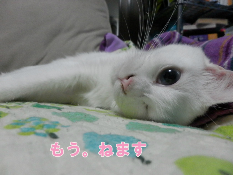 f:id:gosaku13:20150625083200j:image