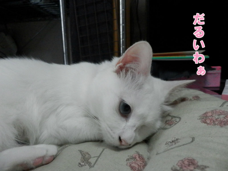 f:id:gosaku13:20150628142628j:image