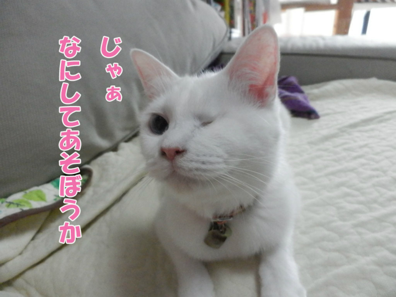 f:id:gosaku13:20151110081959j:image